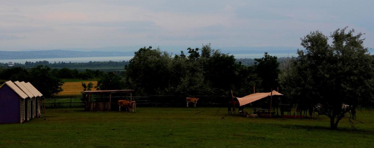 Dharma Horse Shelter Bungalows & Farmping Siofok Ngoại thất bức ảnh