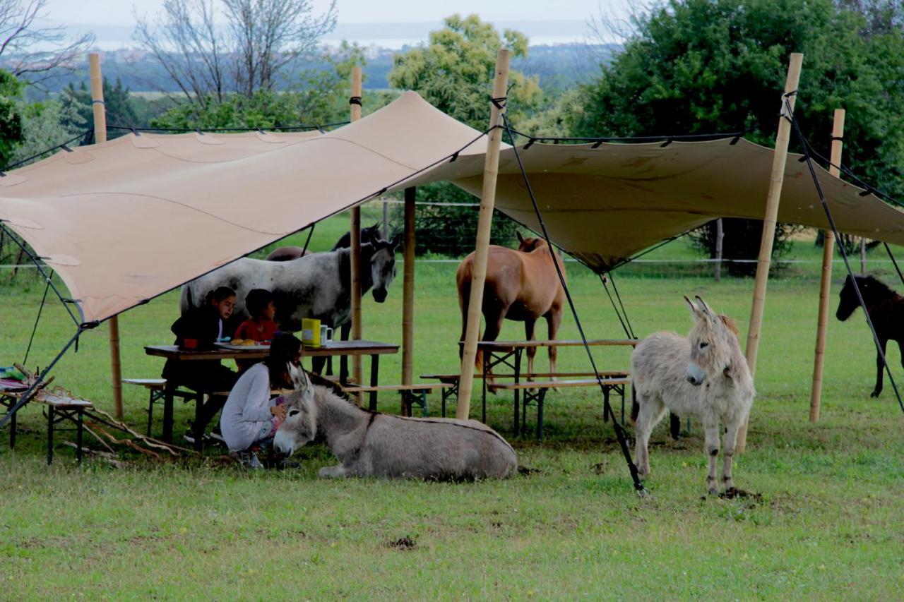 Dharma Horse Shelter Bungalows & Farmping Siofok Ngoại thất bức ảnh