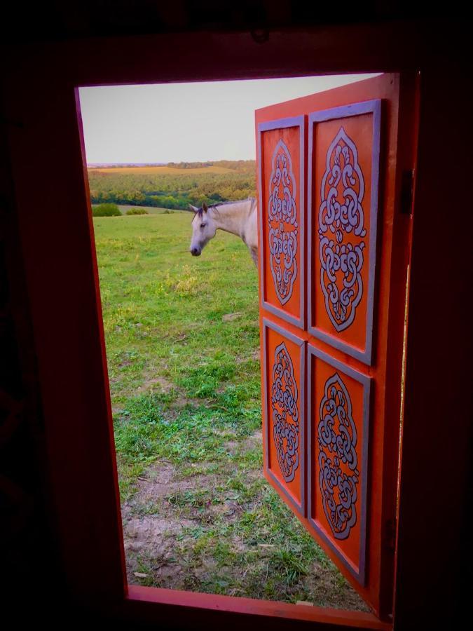 Dharma Horse Shelter Bungalows & Farmping Siofok Ngoại thất bức ảnh